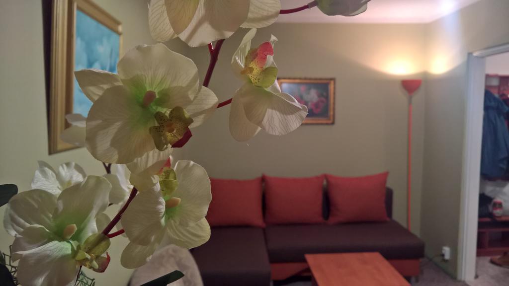 Apartament Konopnicka أوغستوف المظهر الخارجي الصورة